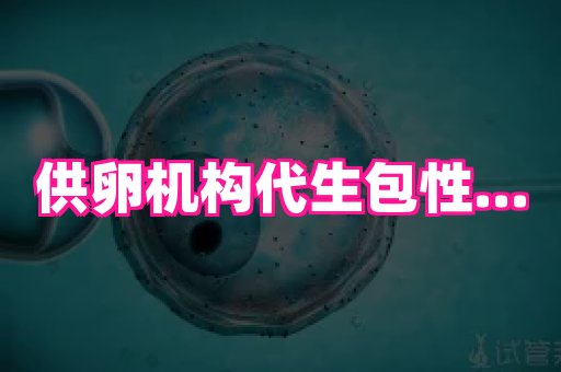123试管孕网 4